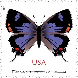 Colorado Hairstreak stamp