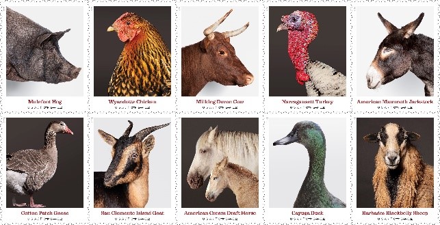 Heritage Breeds stamps