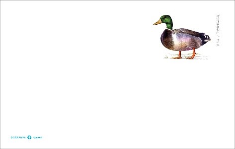 Mallard stamp